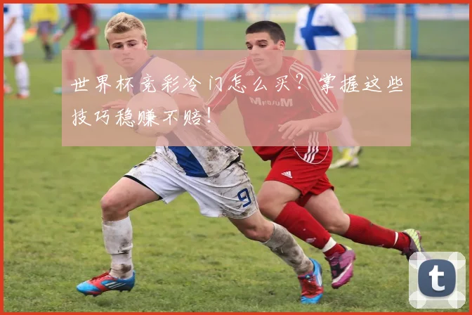 世界杯竞彩冷门怎么买？掌握这些技巧稳赚不赔！