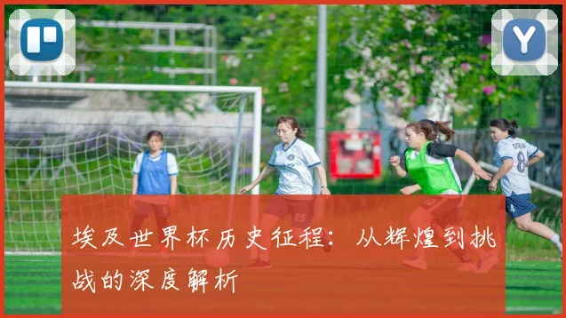 埃及世界杯历史征程：从辉煌到挑战的深度解析