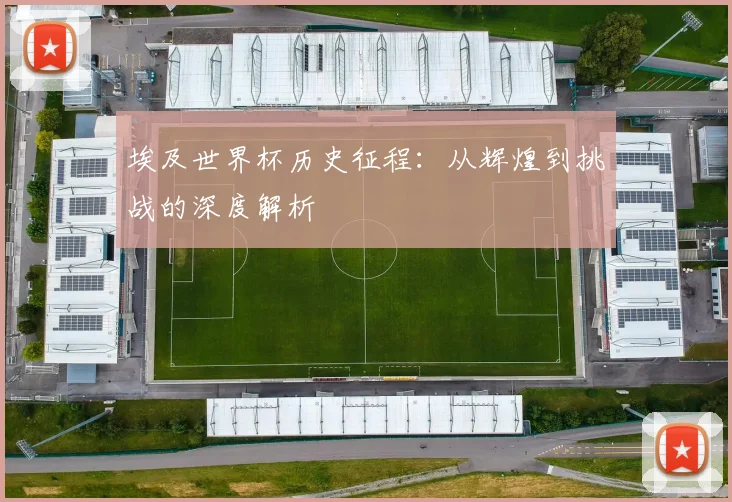 埃及世界杯历史征程：从辉煌到挑战的深度解析
